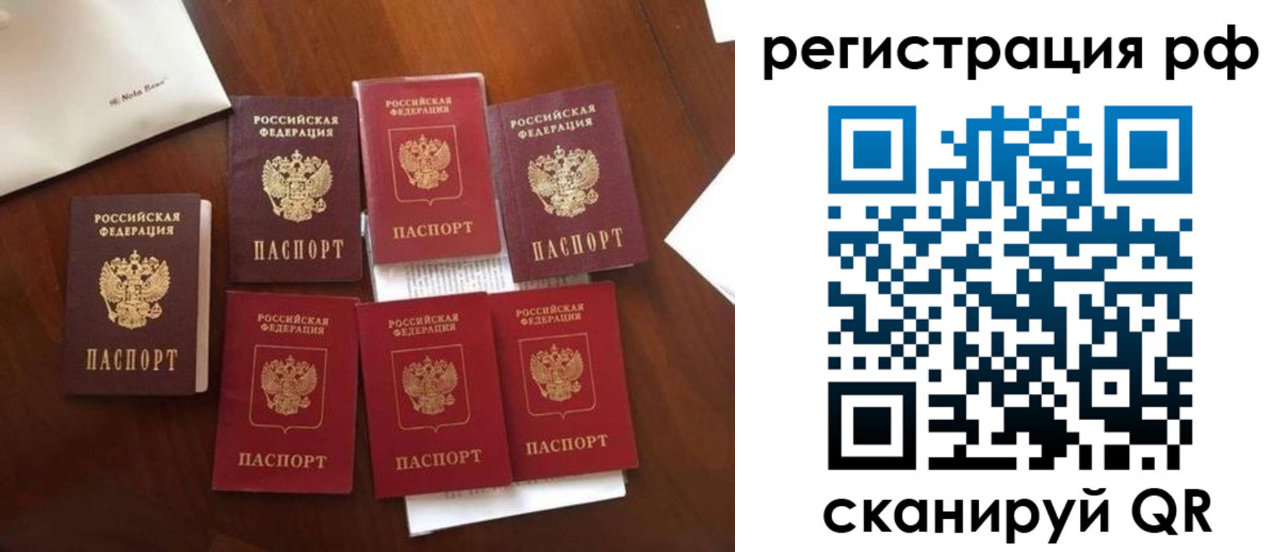 пропишу в квартире в Лыткарино